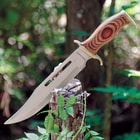 Timber Rattler Jungle Fury Bowie