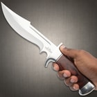 Gil Hibben Legionnaire Bowie Knife II With Leather Belt Sheath - 7Cr17 Stainless Steel Blade, Dark Brown Pakkawood Handle, Stainless Steel Guard And Pommel