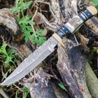 Damascus knife resting on tree branches outdoors