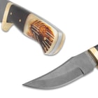 A view of the blade and the handle with full-tang