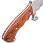 Ridge Runner Woodland Reverie Bowie / Fixed Blade Knife - Stainless Steel, Full Tang - Genuine Zebrawood - Nylon Sheath - Collecting, Field Use, Display and More - 13 1/4"