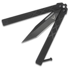 Tanto Butterfly halfway open