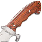 Ridge Runner Woodland Reverie Bowie / Fixed Blade Knife - Stainless Steel, Full Tang - Genuine Zebrawood - Nylon Sheath - Collecting, Field Use, Display and More - 13 1/4"
