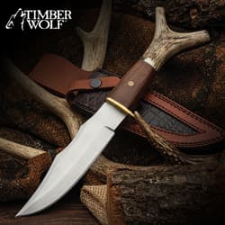 The Timber Wolf Stag Antler Fixed Blade with stainless steel blade and stag antler handle shown on a rustic background.