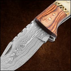The leather knife case