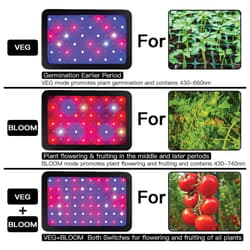 The full-spectrum, low-temperature 600-watt IR and UV LEDs are energy efficient and have two light modes to boost growth