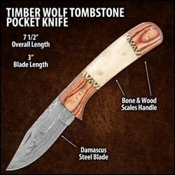 A view of the blade and full-tang