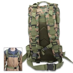 Rear image of the Assault Backpack.