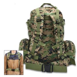 Rear image of the Assault Pack.