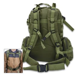 Rear image of the Assault Pack.
