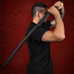 Person holding a sword in a defensive stance against a red background