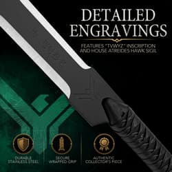 Detailed engravings on sword with House Atreides sigil