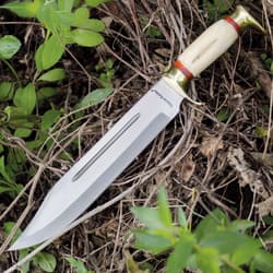 Knife with bone handle lying among green plants