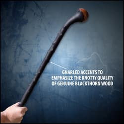 Close-up of blackthorn stick showing gnarled accents