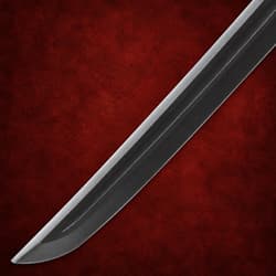 Close-up of a sword blade on a red textured background