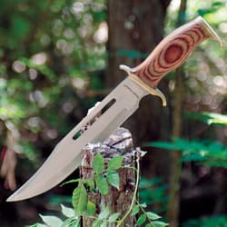 Bowie knife with wood handle on tree stump outdoors