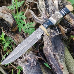 Damascus knife on tree bark in outdoor setting