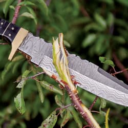Knife cutting through a branch with green leaves