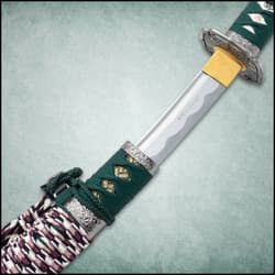 The katana in its scabbard