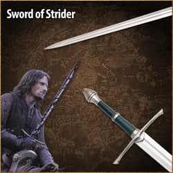 Sword of Strider with character image and map background
