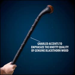 Close-up of blackthorn stick with gnarled accents