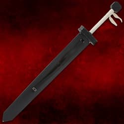 Sword sheathed in black cover on red background