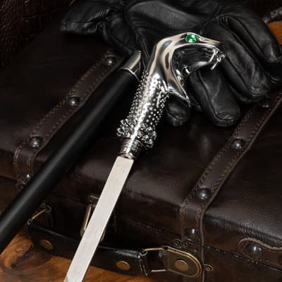 Snake-head sword cane on leather suitcase with gloves