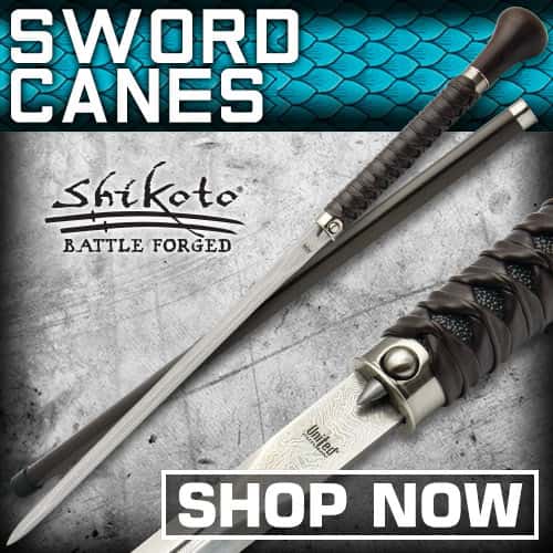 SWORD CANES