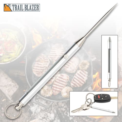 Trailblazer Titanium Spring Toothpick Silver