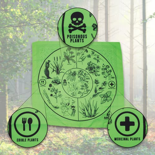 Full image showing some close ups of some of the signs on the Survival Plant Guide Bandana.