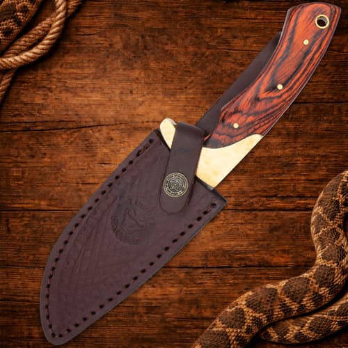 Knife in leather sheath on wooden background with rope