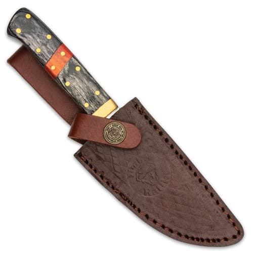 Timber Rattler Saddlebag Skinner Knife