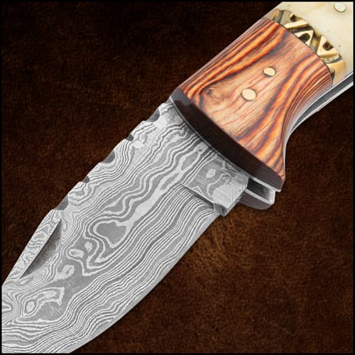 The leather knife case