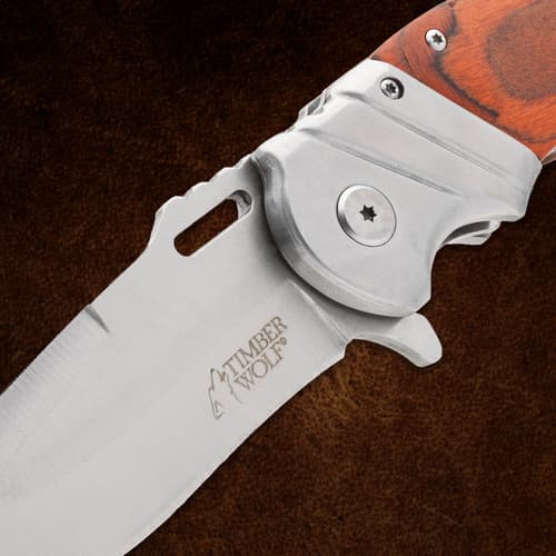 Close-up of Timber Wolf knife blade and handle