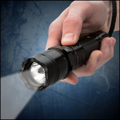 Night Watchman 2 Million-Volt Police Stun Gun Flashlight