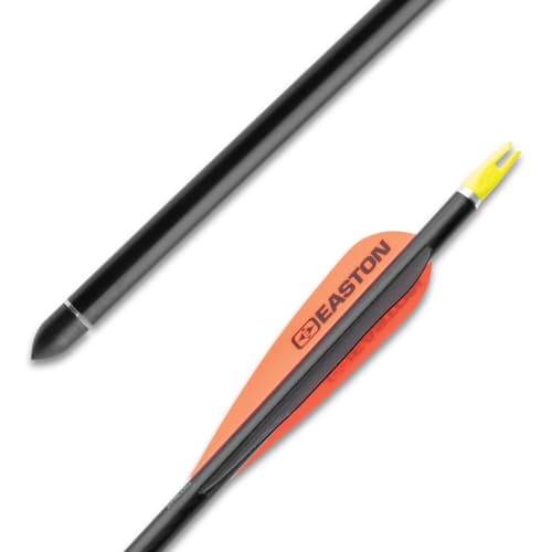 Close up image of arrow tip and arrow fletching.