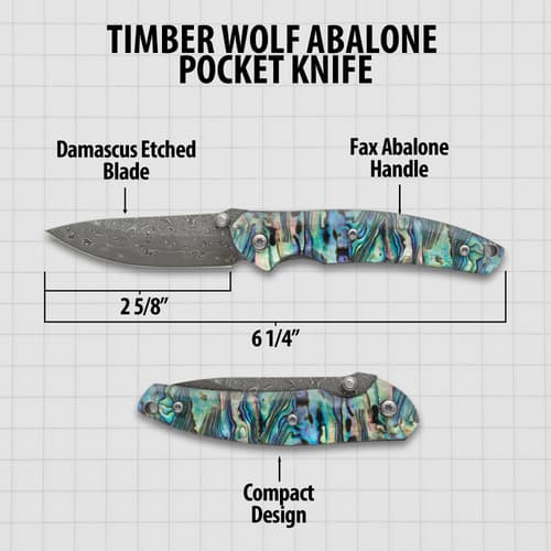 Diagram of Timber Wolf abalone pocket knife with dimensions