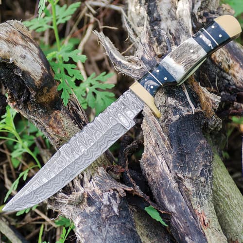 Damascus knife resting on tree branches outdoors