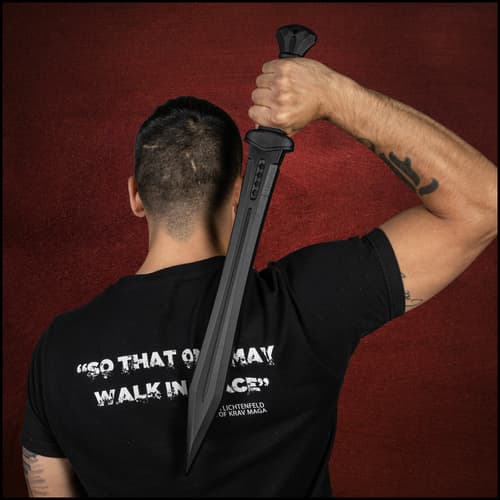 Arena Duo Gladiator Training Sword in hand