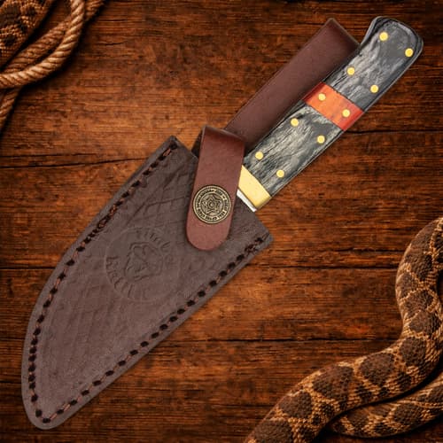 Knife in a leather sheath on wooden surface with rope and snake
