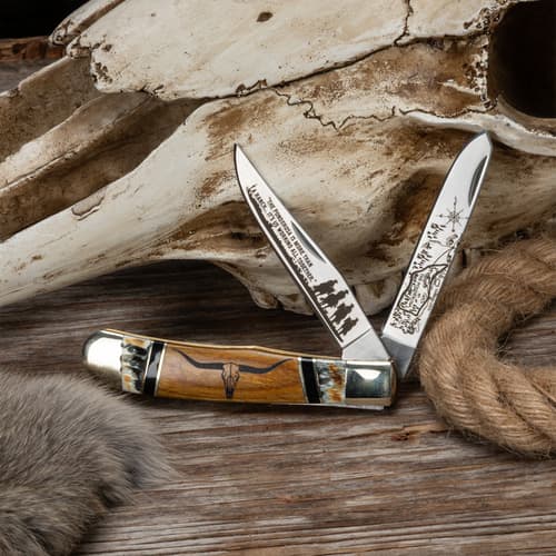 Knife with engraved blades beside animal skull and rope