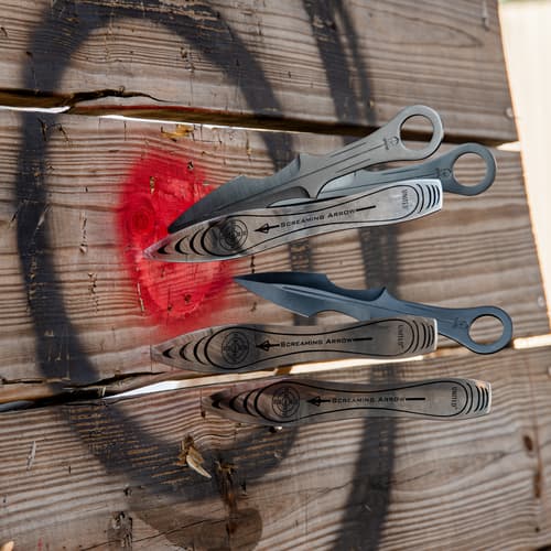 Throwing knives embedded in wooden target with red bullseye