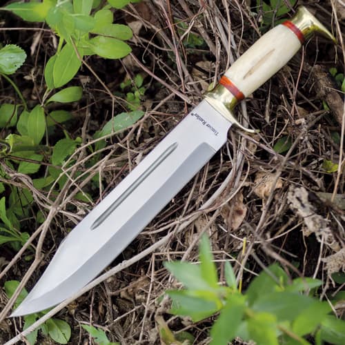 Knife with bone handle lying among green foliage