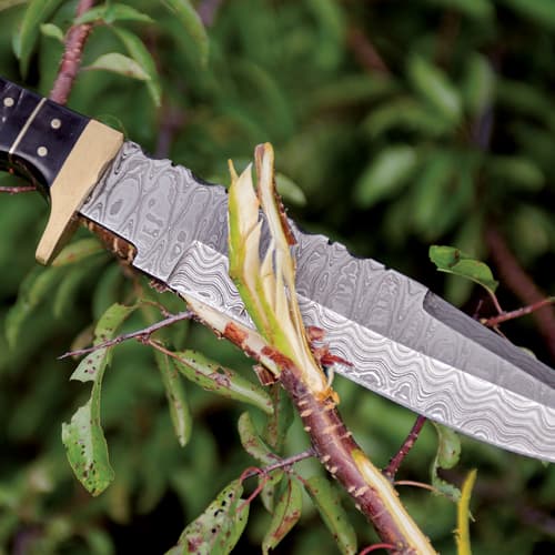 Knife cutting through a branch with green leaves