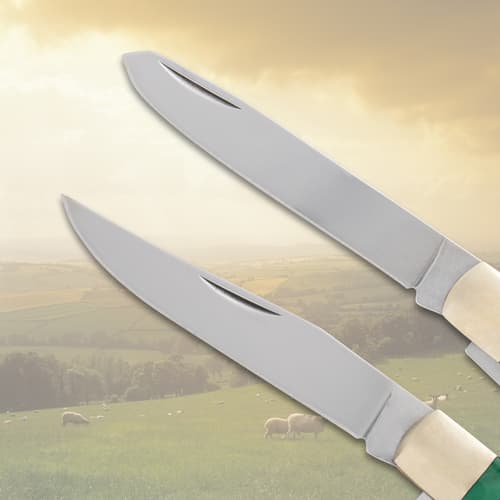 Close-up of two stainless steel knife blades