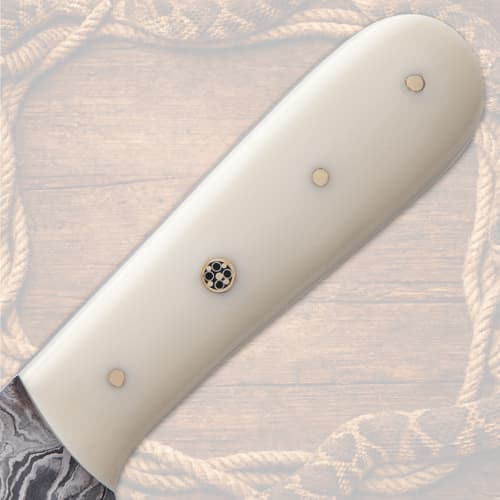 Close-up of cream knife handle with rivets