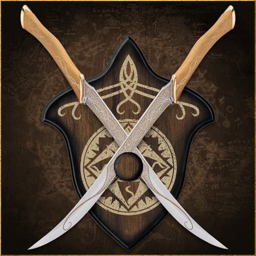 Crossed swords on a decorative wall mount