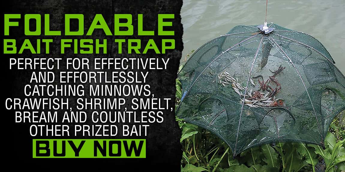 Trailblazer Foldable Bait Fish Trap