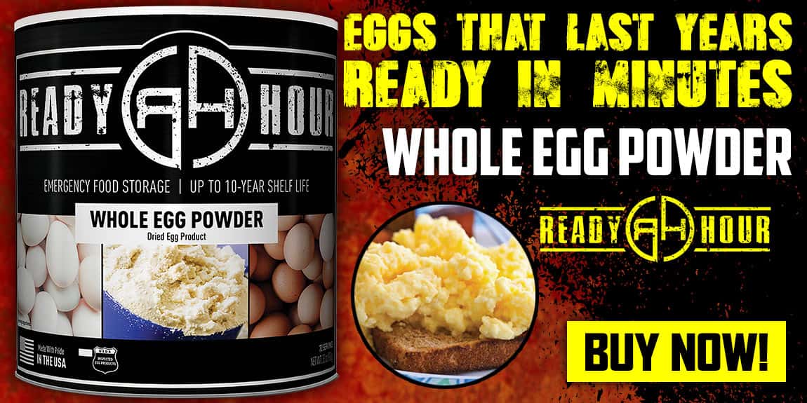 Ready Hour Whole Egg Powder