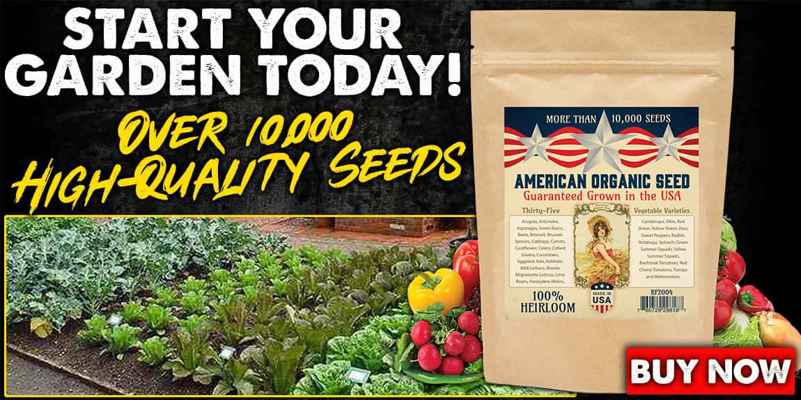 Variety Heirloom Seed Pack